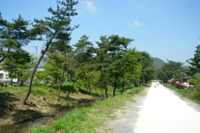 隣接している遊歩道